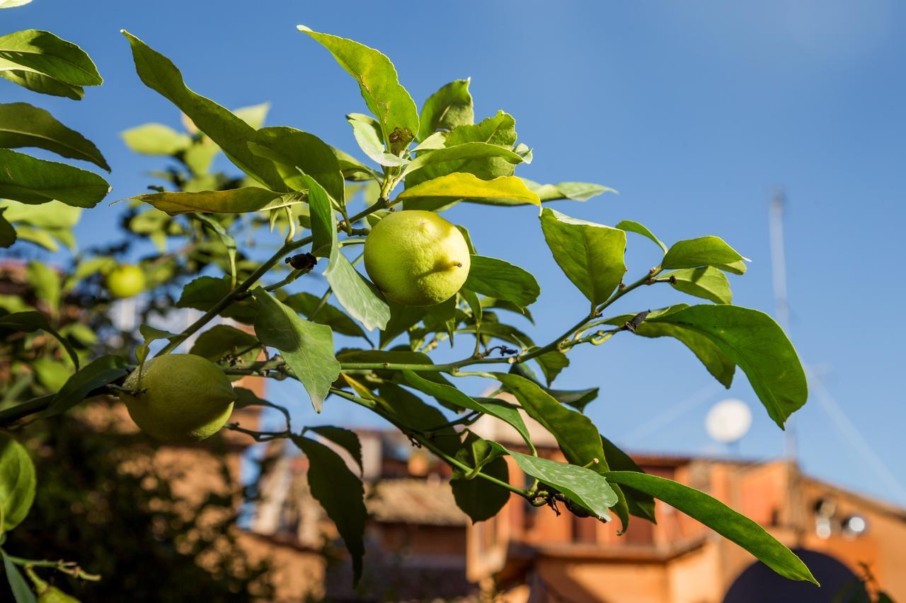 Trastevere Apartments Rom Exterior foto